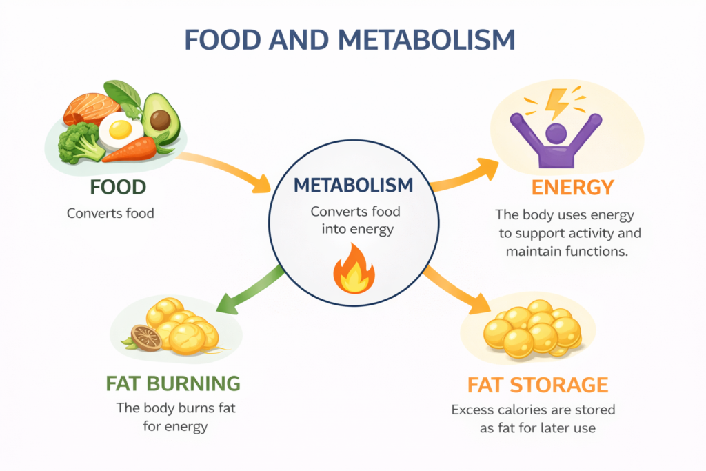 Ikaria Lean Belly Juice Review: Fat Storage and Fat Burning