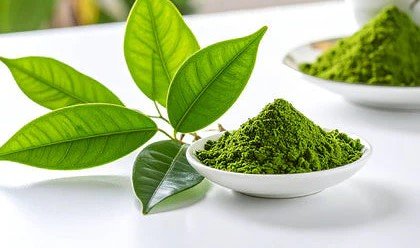 Ikaria Lean Belly Juice Review: EGCG Green Tea Extract