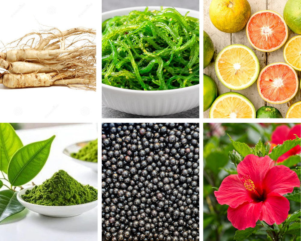 Ikaria Lean Belly Juice review — full ingredients breakdown including fucoxanthin, milk thistle, taraxacum and resveratrol