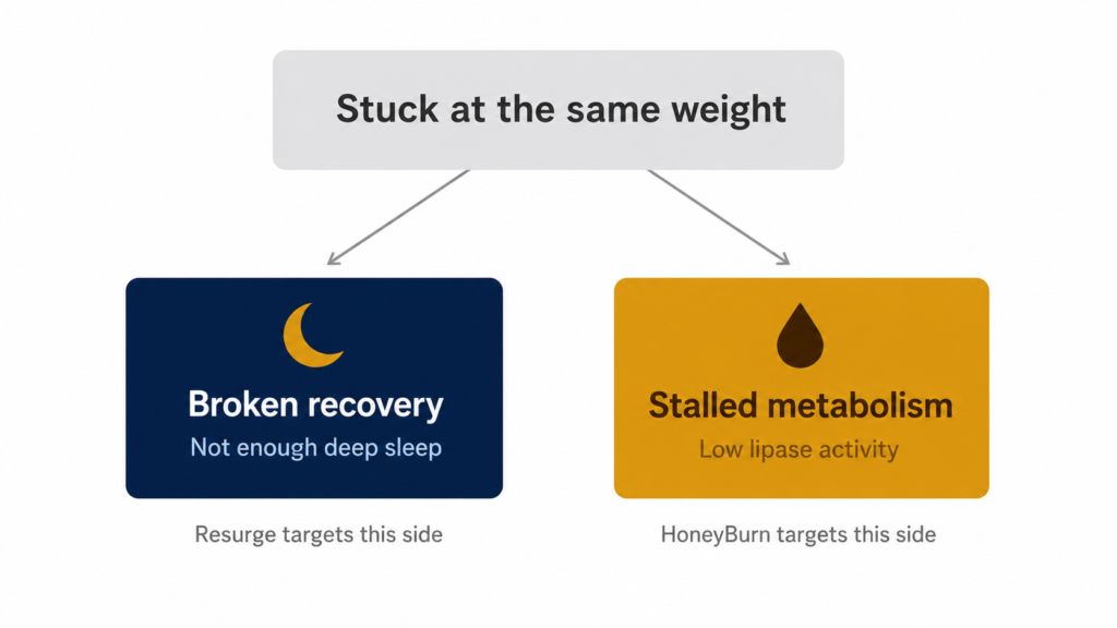 Resurge vs HoneyBurn review — two different root causes behind stubborn weight gain