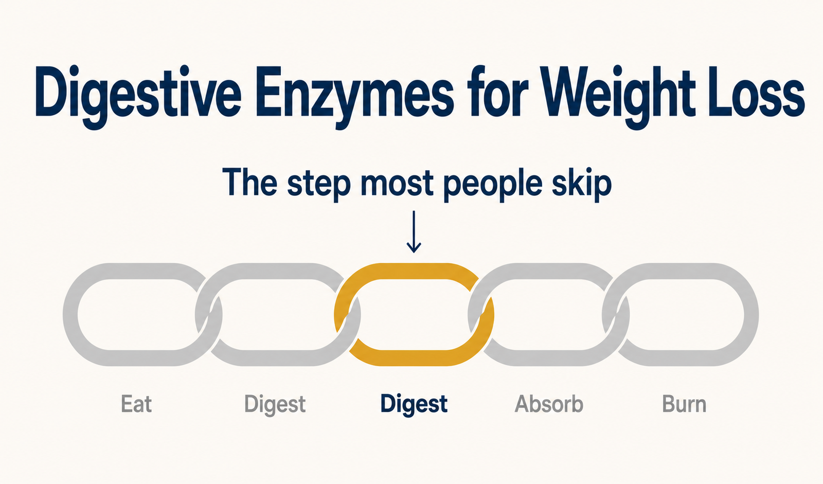 Read more about the article Digestive Enzymes for Weight Loss: The Step Most People Skip
