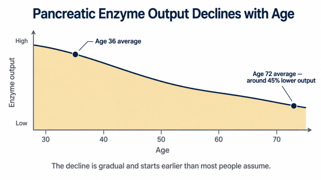 Digestive enzymes for weight loss — how pancreatic enzyme output declines with age after 30