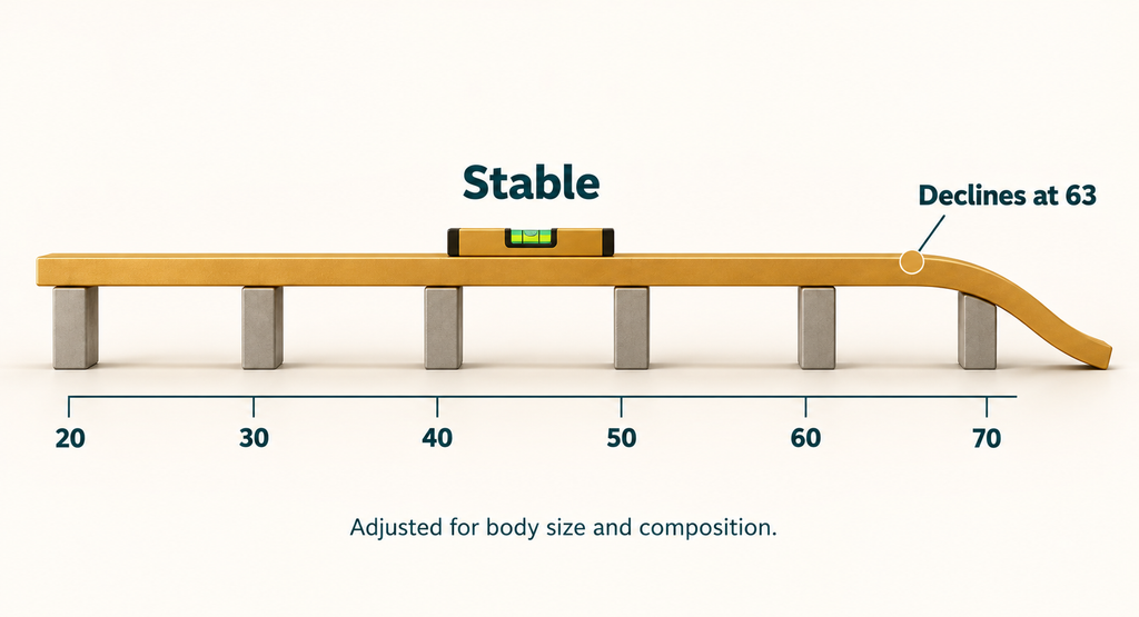 Metabolic rate stays stable from 20 to 60 — the Pontzer study finding
